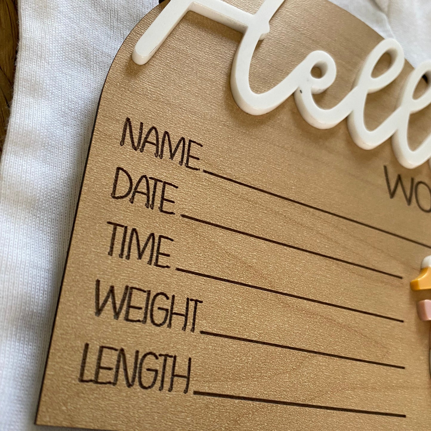 Hello World 3D Birth Stat Sign - Goose with Bow