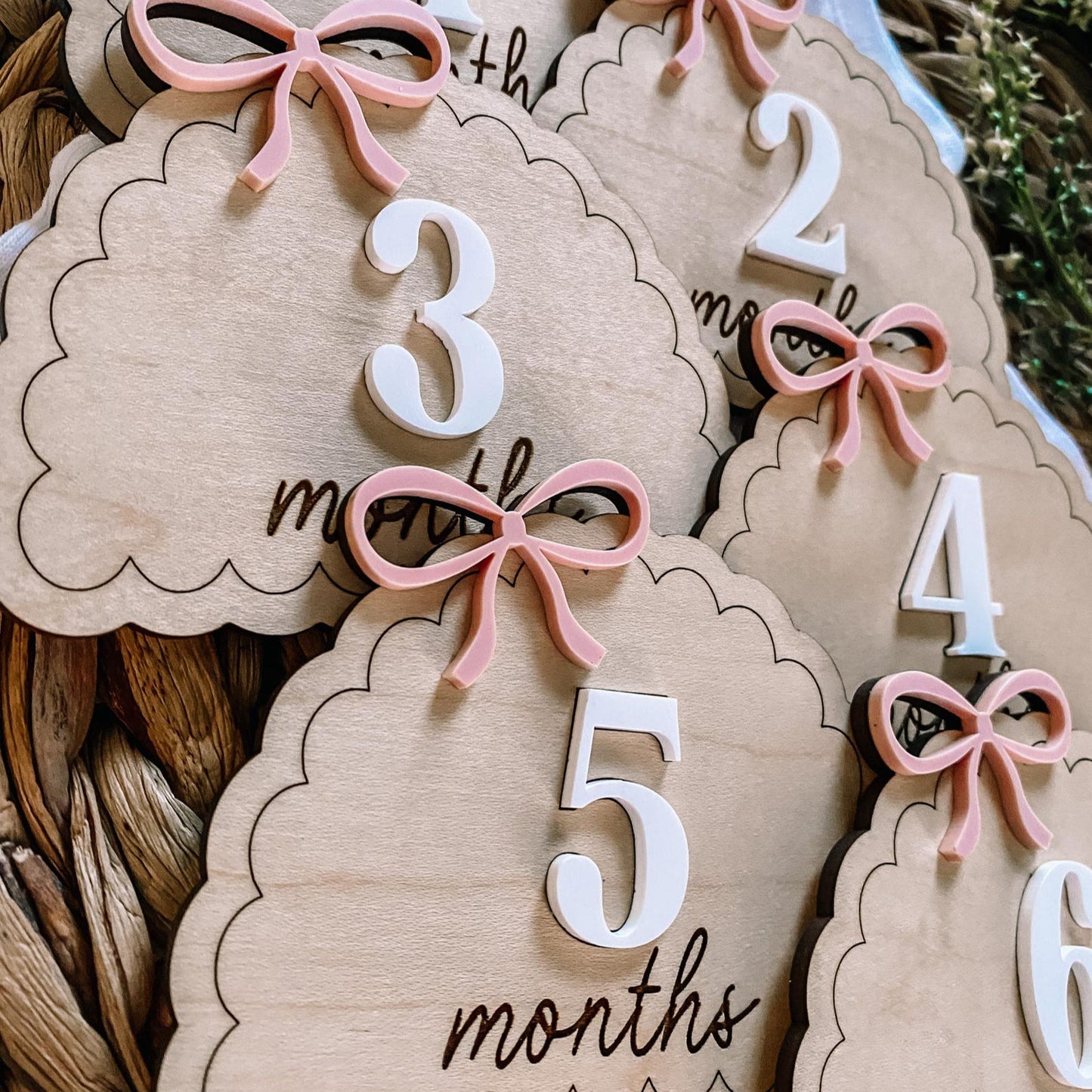 Dainty Bow Monthly Milestone Set