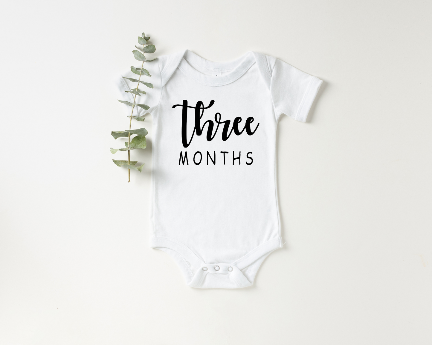 Three Month Milestone Onesie