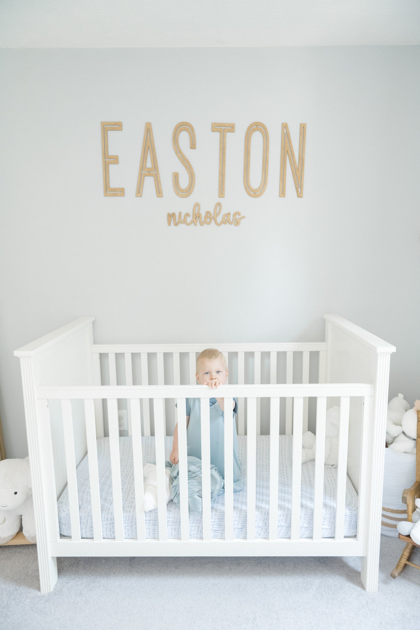 Large Free Hanging Custom Nursery Wall Sign