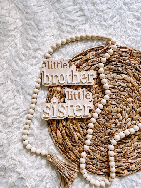 Little Brother/Little Sister Gender Reveal Sign