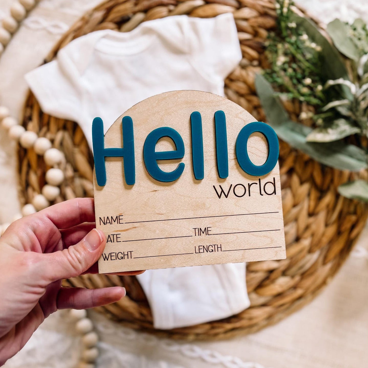 Hello World Birth Announcement Sign - Bubble