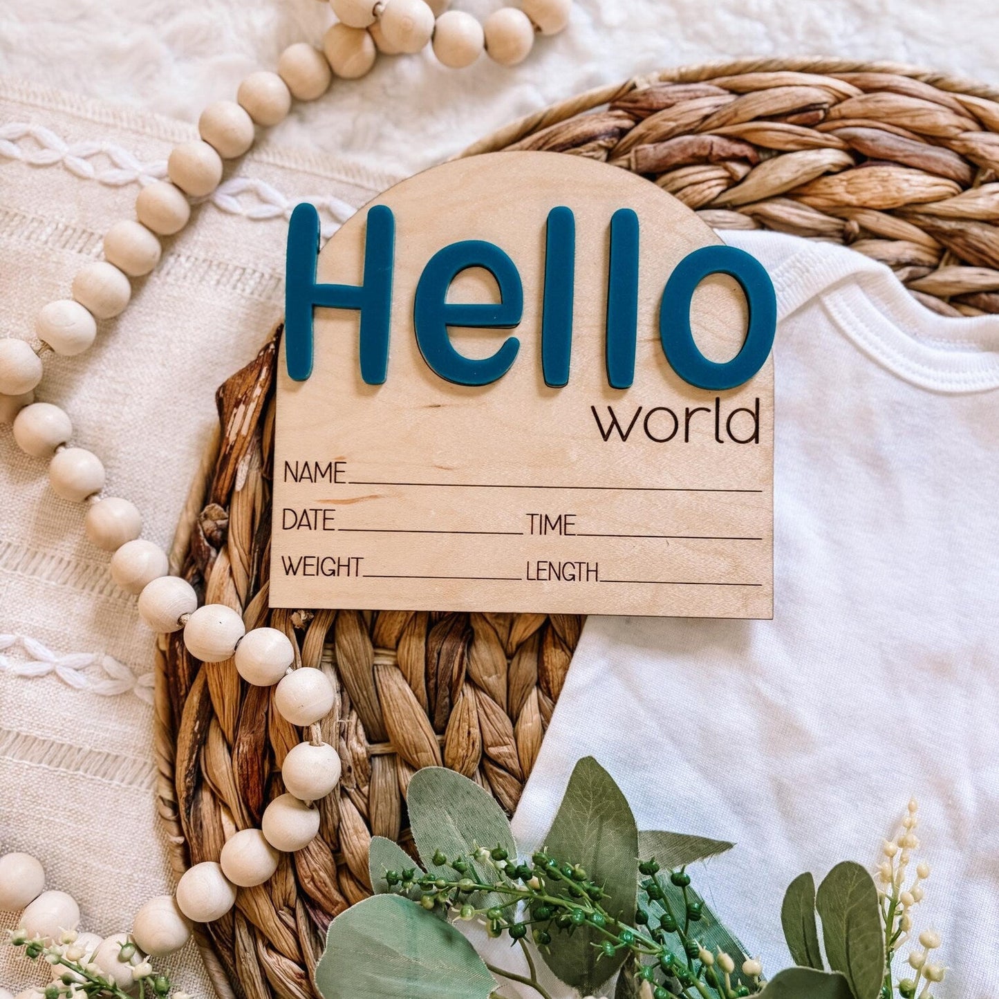 Hello World Birth Announcement Sign - Bubble