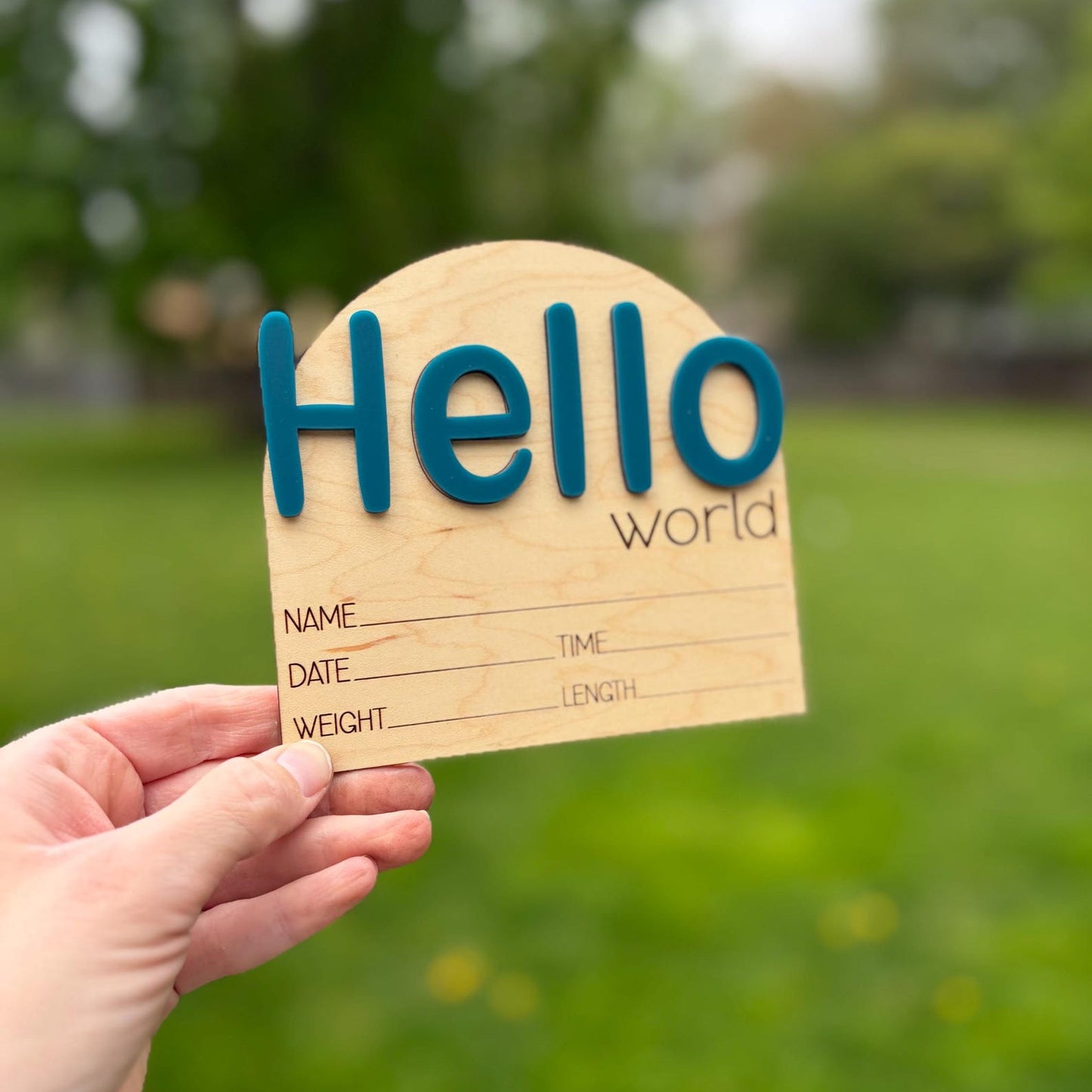 Hello World Birth Announcement Sign - Bubble