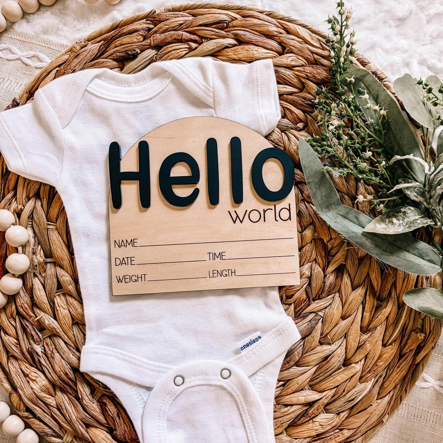 Hello World Birth Announcement Sign - Bubble