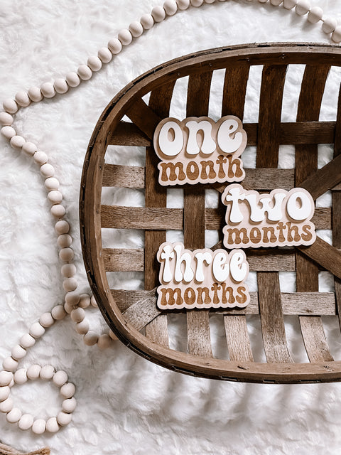 3D Wooden Monthly Milestone Signs - Retro Font