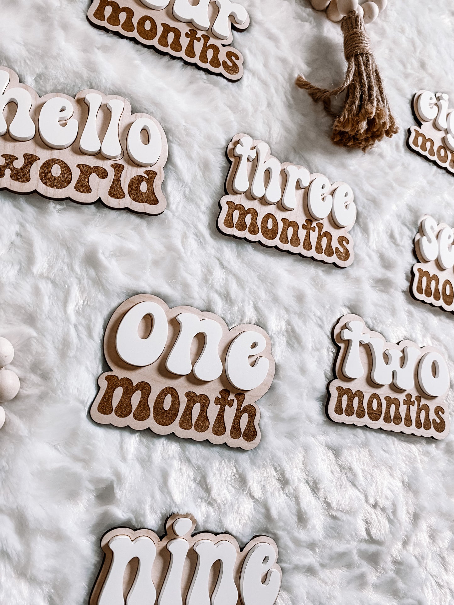 3D Wooden Monthly Milestone Signs - Retro Font