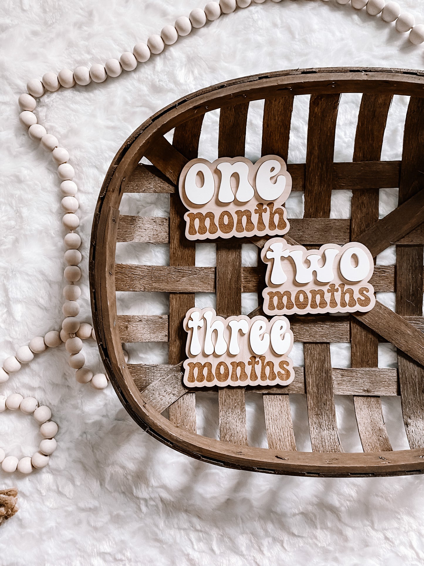 3D Wooden Monthly Milestone Signs - Retro Font