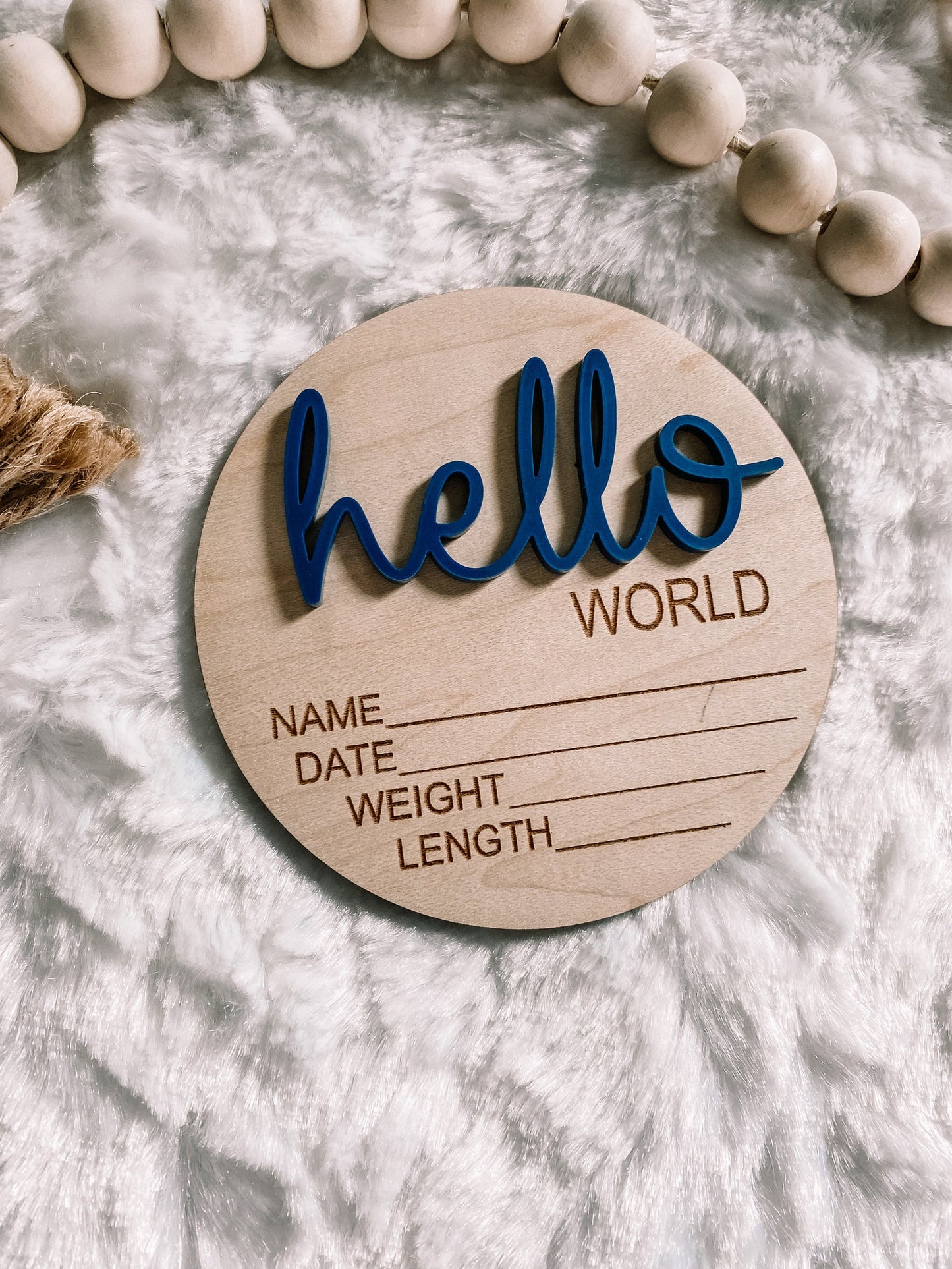 Hello World Birth Announcement Disc 3D